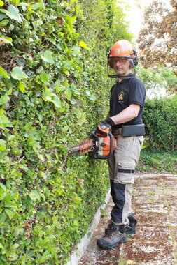 Entretien du jardin